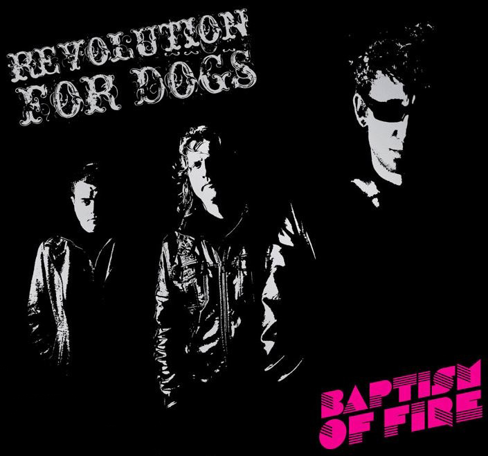 revolution for dogs